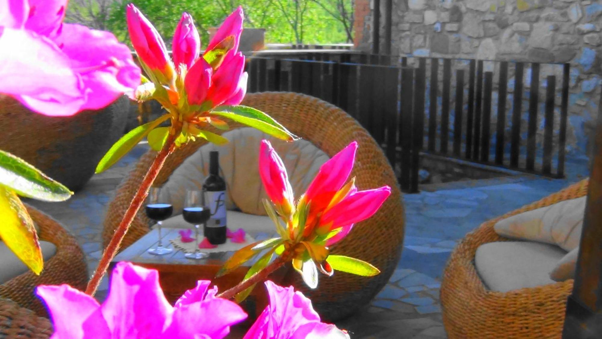 Fattoria Pianetti Guest House Manciano Ngoại thất bức ảnh